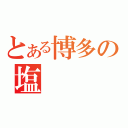 とある博多の塩（）