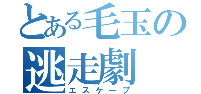 とある毛玉の逃走劇（エスケープ）