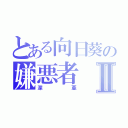 とある向日葵の嫌悪者Ⅱ（深亜）