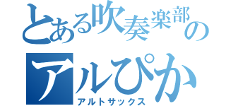 とある吹奏楽部のアルぴか（アルトサックス）