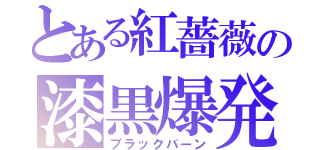 とある紅薔薇の漆黒爆発（ブラックバーン）