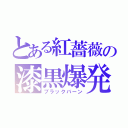 とある紅薔薇の漆黒爆発（ブラックバーン）