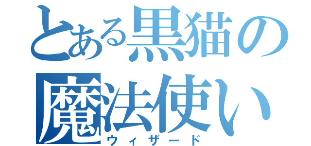 とある黒猫の魔法使い（ウィザード）