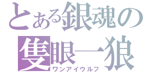 とある銀魂の隻眼一狼（ワンアイウルフ）