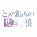 とある銀魂の隻眼一狼（ワンアイウルフ）