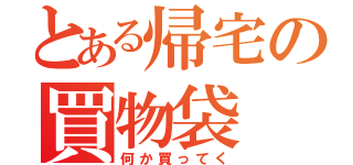 とある帰宅の買物袋（何か買ってく）