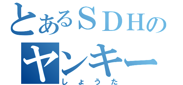 とあるＳＤＨのヤンキー（しょうた）