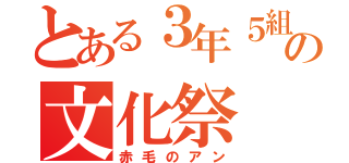 とある３年５組の文化祭（赤毛のアン）