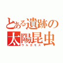 とある遺跡の太陽昆虫（ウルガモス）