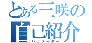 とある三咲の自己紹介（パラメーター）