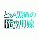 とある黒猫の俺専用嫁（天神ルイガ）