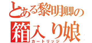 とある黎明卿の箱入り娘（カートリッジ）