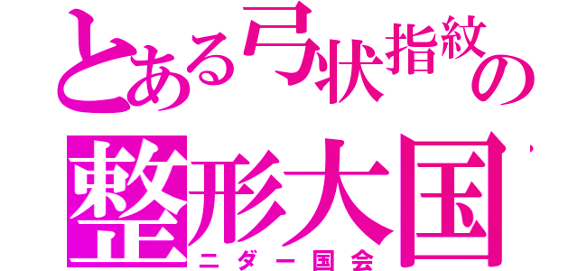 とある弓状指紋の整形大国（ニダー国会）