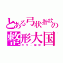 とある弓状指紋の整形大国（ニダー国会）