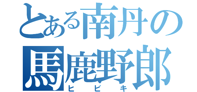 とある南丹の馬鹿野郎（ヒビキ）