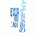 とある電気街の秋葉原（アキバ）