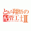 とある翔悟の配管工士Ⅱ（スーパーマリオ）