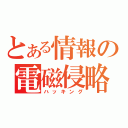 とある情報の電磁侵略（ハッキング）