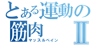 とある運動の筋肉Ⅱ（マッスルペイン）