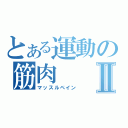 とある運動の筋肉Ⅱ（マッスルペイン）