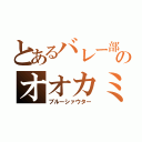 とあるバレー部のオオカミ（ブルーシァウター）