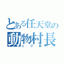 とある任天堂の動物村長（とび森）