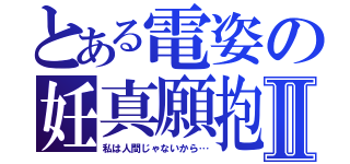 とある電姿の妊真願抱Ⅱ（私は人間じゃないから…）