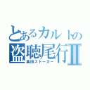 とあるカルトの盗聴尾行Ⅱ（集団ストーカー）