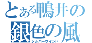 とある鴨井の銀色の風（シルバーウインド）