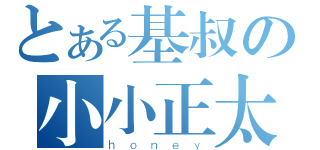 とある基叔の小小正太（ｈｏｎｅｙ）