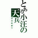 とある小汪の天兵（汪汪的部下）