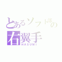 とあるソフト部の右翼手（ＨＡＳＵＭＩ ）