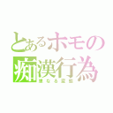 とあるホモの痴漢行為（単なる変態）