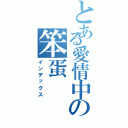 とある愛情中の笨蛋（インデックス）