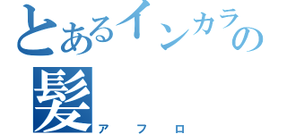 とあるインカラの髪（アフロ）