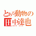 とある動物の田中達也（ゴリラ ゴリラ）