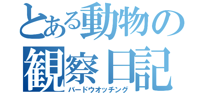 とある動物の観察日記（バードウオッチング）