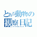 とある動物の観察日記（バードウオッチング）