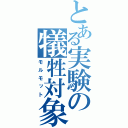 とある実験の犠牲対象（モルモット）