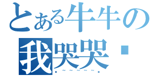 とある牛牛の我哭哭囉（哞~~~~~哞）