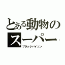 とある動物のスーパー戦隊（ブラックバイソン）