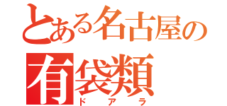 とある名古屋の有袋類（ドアラ）