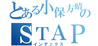 とある小保方晴子のＳＴＡＰ細胞（インデックス）