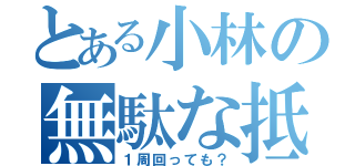 とある小林の無駄な抵抗（１周回っても？）