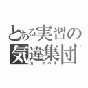 とある実習の気違集団（カーニバル）