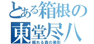 とある箱根の東堂尽八（眠れる森の美形）