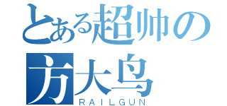 とある超帅の方大鸟（ＲＡＩＬＧＵＮ）