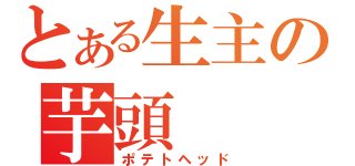 とある生主の芋頭（ポテトヘッド）