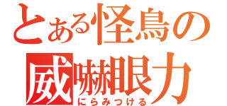 とある怪鳥の威嚇眼力（にらみつける）