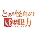 とある怪鳥の威嚇眼力（にらみつける）